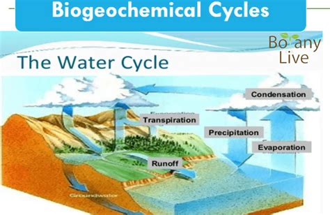 ウォーターサーバー サントリー と宇宙の水循環について考える